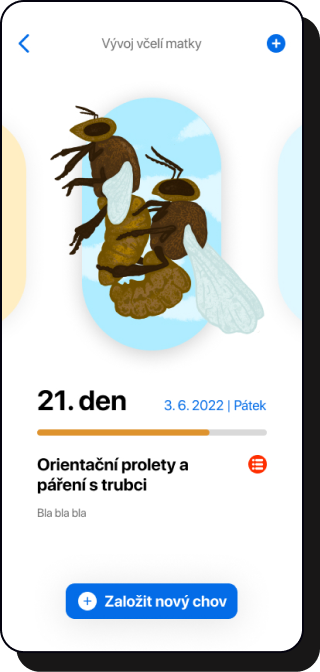 Snubní prolety dospělé matky 