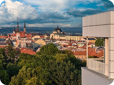 Central Park Flora 1